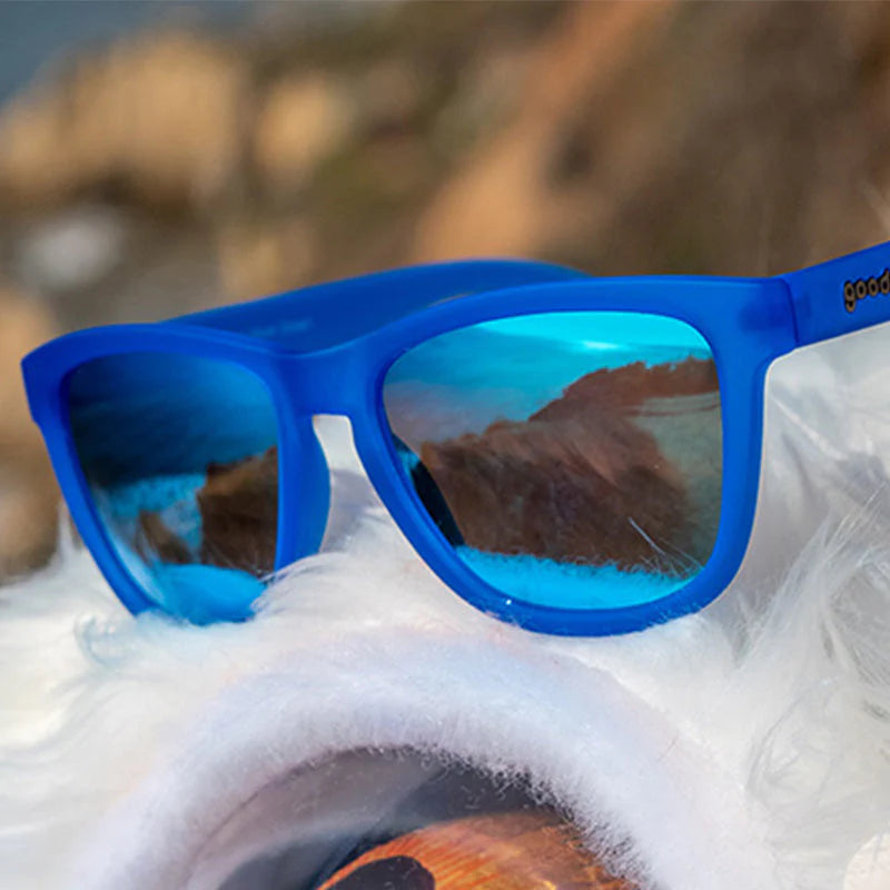 Goodr Falkor’s Fever Dream
