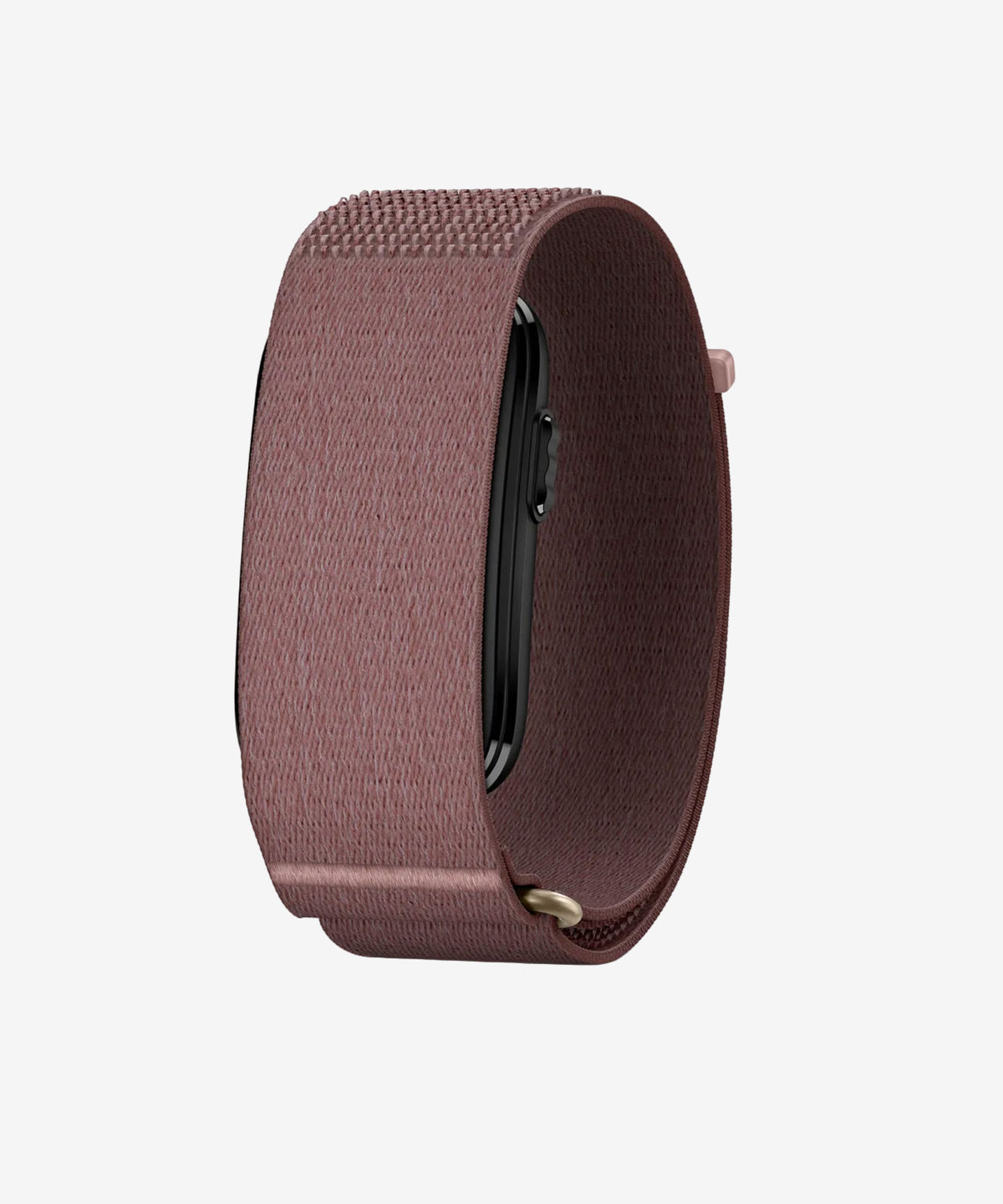 Garmin Cirqa Smart Band